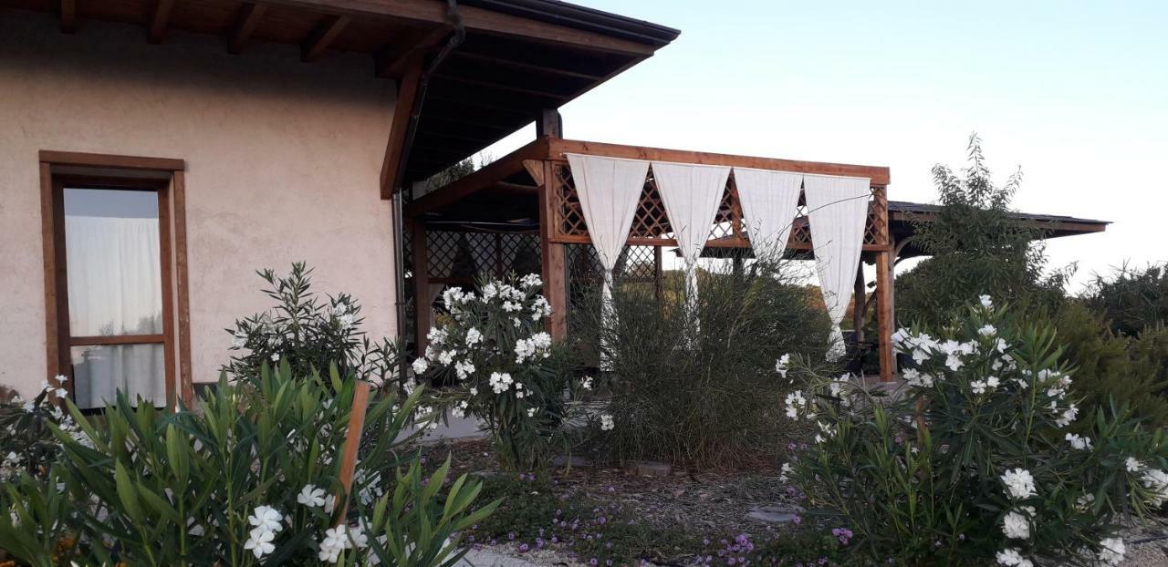 The Straw House Ξενοδοχείο Αλγκέρο Εξωτερικό φωτογραφία